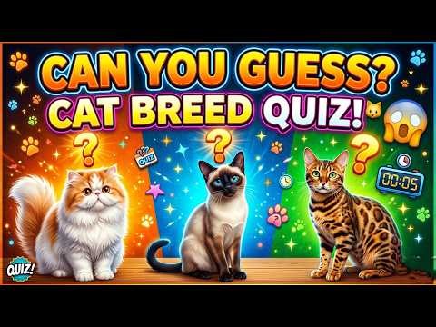 Guess the Cat Breed Quiz 🐱 Only True Cat Lovers Can Score 100%! 😺