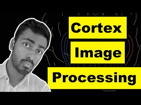 Primary Visual Cortex: How brain processes what we see