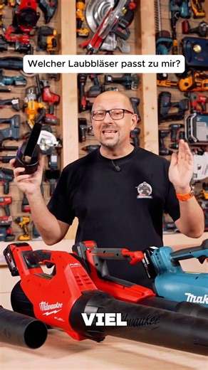 Welcher Laubbläser passt zu mir? 💨