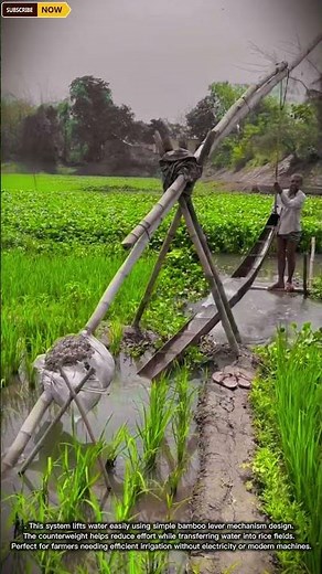 Traditional Water Lifting System for Irrigation and Field Water Management in Rural Farming Areas