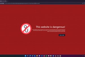 Hybrid Anti-Phishing Browser Extension