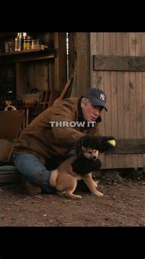 Hachi's First Fetch