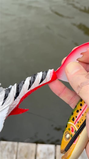 1.9K views · 41 reactions | Much asked for video of the Xeno-Fish, swimming. Smooth & desdly with slack in the line and a nice glide. Enjoy! | Tempt-Lure | Facebook