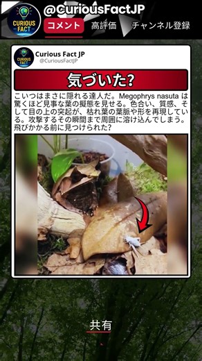 最初からいたのに気づかなかった 😮
