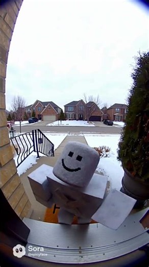 Roblox burger#shorts #shortsfeed #america #comedy #youtube