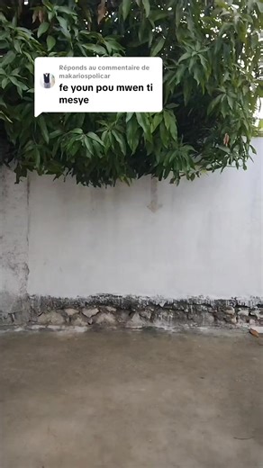 Réponse à @makariospolicarNou mele 🔥Un prince à New York theme song challenge #creatorsearchinsight #challenge #vibes #viral #afrobeats @𝓣𝓱𝓮-𝓶𝓪𝓼𝓴👺🎭 @👻👑••SKEDJყ• ƖE• ƙING•• @!🤡𝓒𝓱𝓲𝓷𝓸𝓲𝓼 -𝓿𝓲𝓫𝓮!🤡 @Th£_blada_[Lolito🕺]🕴️• @BLACK BENDANA ⚫👿