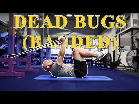 Dead Bugs (Banded) - Tutorial