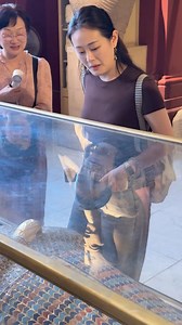 919K views · 23K reactions |  The Enigmatic Coffin of Akhenaten —...