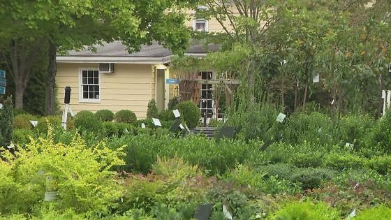 Garden Smart: Spruce up your garden for the Fall