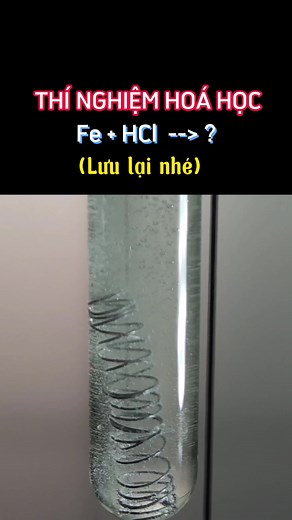 Thí nghiệm hoá học: Fe HCl || Iron hydrochloric acid