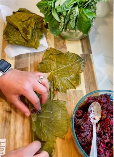 Delicious stuffed grape leaves with black rice