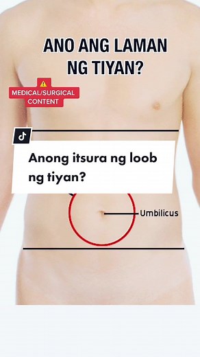 Understanding Laparoscopy: Exploring the Inside of the Abdomen
