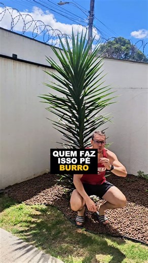 Google Planilhas / App Script || Naim Araújo - Me./Dr. (UFMG) on Instagram: "Quem compra panetone antes do Natal é BURRO! 🤣 Mas quem cria um GRÁFICO de panetone no Google Planilhas é gênio! ✨ Brincadeiras à parte, este vídeo vai te mostrar como transformar o Google Planilhas na sua ferramenta mais criativa! 📊 Criei um gráfico de panetone usando imagens, caixas de seleção e fórmulas simples – e você pode fazer o mesmo com QUALQUER tema! Isso prova o que sempre digo: Google Planilhas SUPEROU o E