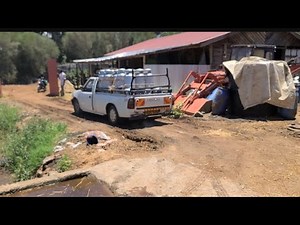 Inside Kenya’s Leading Dairy Farm: How Milk Is Collected and Delivered for Processing