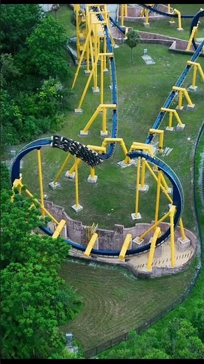 Montu's intense Batwing off ride! Located at Busch Gardens Tampa