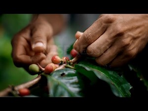 Reviving Origins by Nespresso – It’s About the People 30” | USA