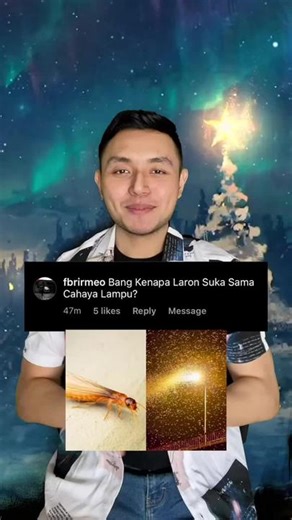 Mengapa Laron Suka Lampu dan Menyerang Rumah Anda?