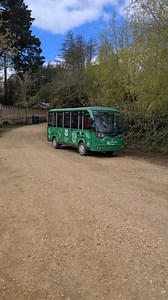 5.9K views · 78 reactions | Accessible tours for those less mobile or...