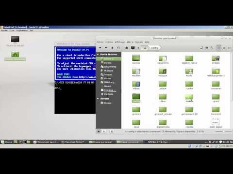 install Turbot pascal - Linux Mint 17 - dosbox