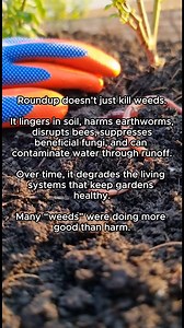 You killed the weeds. Then you damaged everything else. 🧪 Herbicides like Roundup don’t simply vanish after the weeds die. They can remain in the soil for weeks to months, depending on conditions. And during that time, they don’t act in isolation. First, soil life is disrupted. Earthworms and beneficial microbes can be harmed, especially with repeated use. These organisms keep soil functioning. They create channels for air and water. They recycle nutrients. When their populations drop, soil hea