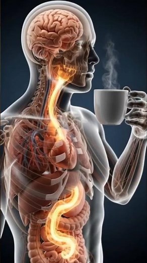 "What Happens If You Drink Coffee ☕ "Health Effects,Side Effects And More#health #healtheducation