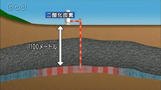 大気中の二酸化炭素を減らす試み | NHK for School