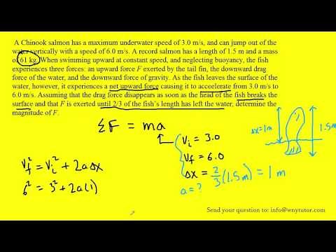 A Chinook salmon has a maximum underwater speed of 3.0 m/s, and can jump out of the water verticall