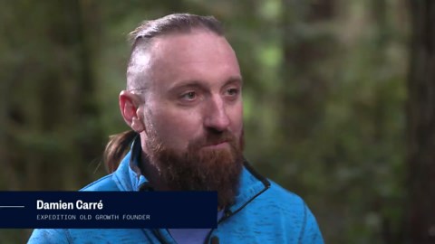 How we climbed California’s giant redwood trees (Part 1)