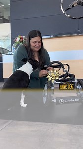 7.8M views · 754K reactions | A two-legged dog was gifted a custom Mercedes-Benz wheelchair in a heartwarming video. | New York Post | Facebook