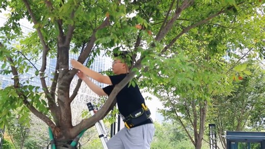 Watch Telescoping Ladder 12.5FT Aluminum Extension Ladders on Amazon Live