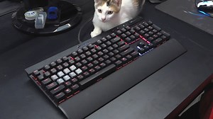 21K views · 937 reactions | RapidFire瑞皮 火箭抓取的功夫真一流 讓身手矯健的 AA 一點機會都沒有耶 O口O #OVERWATCH #鬥陣特攻 #Corsar海盜船RGB鍵盤 #讓人生火的七彩ˋ鍵盤 | ahq e-Sports Club | Facebook