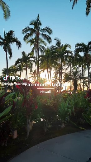 bradenjstanley on TikTok