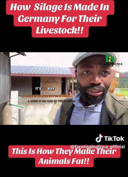 How Silage Is Made for Optimal Animal Growth