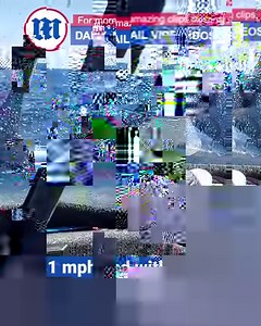 These fishermen didn't expect to need a bigger boat!🦈 | Daily Mail Video