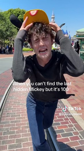 Hidden Mickey Mystery: The Ultimate Search Challenge