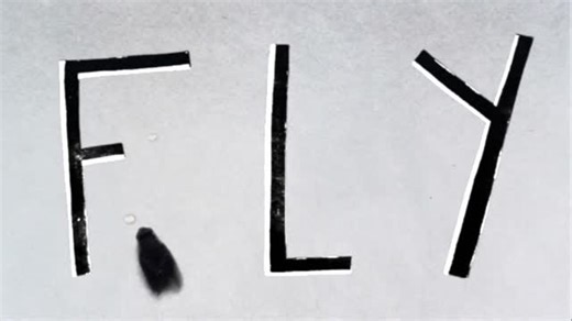 Djo on Instagram: "A new animated video for Fly is out now on YouTube, directed and written by our friend @zach.martin.art. Check out his account for a look at more of his animations"