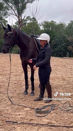 Balanced Training Techniques for Horses