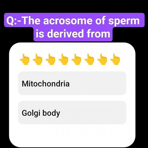 Human reproduction:- Neet pyq 📚🩺 #neet2026 #biology #class12 #neetexam #neetbiology #neetpyq #aims