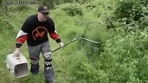 Beaster.Day.Here.Comes.Peter.Cottonhell.2014.WEBRip