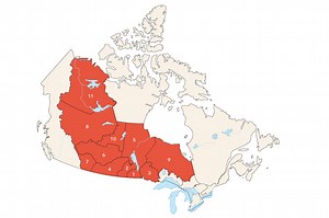 Traités au Canada - Histoire Canada
