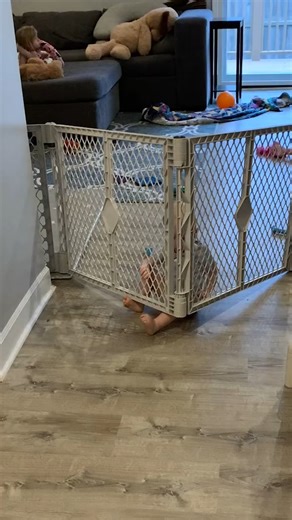Mom: The enforcer of the baby gate! #Toddlers #Tactics #Almost #freedom | Poke My Heart