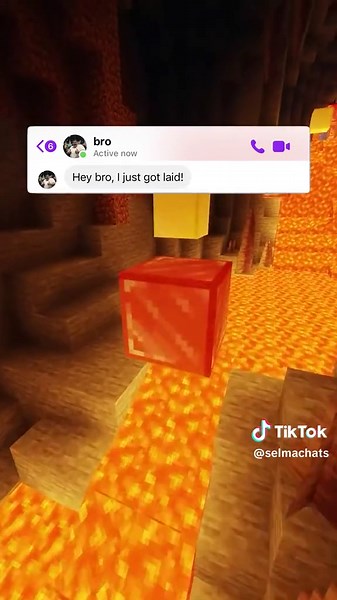 Part. 31 Why Not?! #fyp #funnyvideos #textstory #funny #minecraft