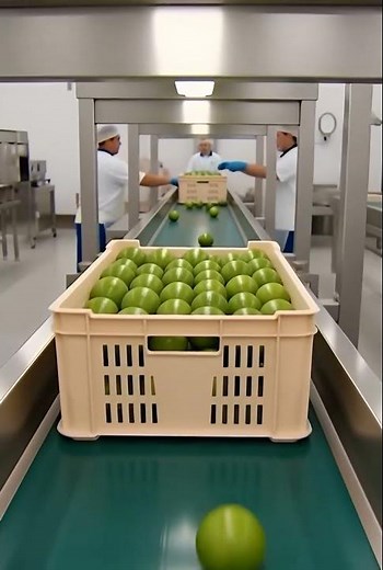 Lime Juice Manufacturing Process | Satisfying VideoInside Lime Juice Factory 🏭 | Amazing Process