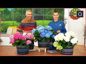 Bring Your Garden to Life with Roberta’s Unique Gardens | QVC