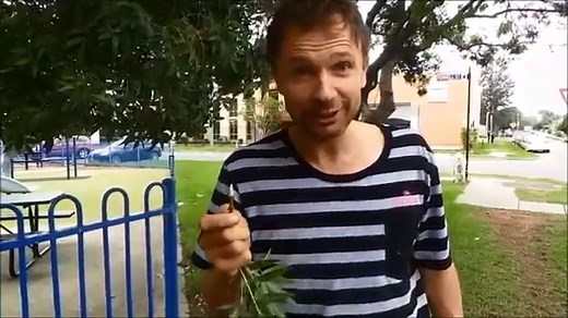 Australians mourn death of celebrity goat with 1.7 million Facebook fans