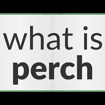 Perch | meaning of Perch
