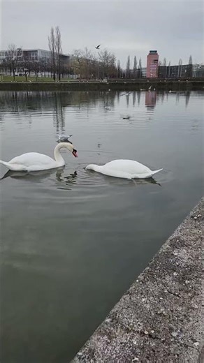 17 декабря 2025 г.