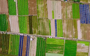 农业种植良亩农田土地耕种粮食航拍大景