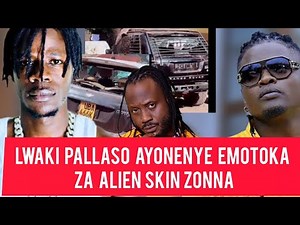 ALIEN SKIN VS PALLASO: Understand the Story Behind Pallaso and Alien Skin’s Ongoing Tension Today.