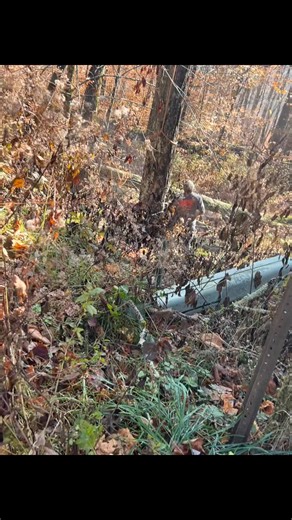 3.2K views · 33 shares | Here’s a how to not tear your house down video but I recommend calling me like Tom Palley to make it safe 3gtree.com #thebestneverrest | 3gtree.com | Facebook